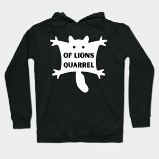 A flying squirrel Hoodie